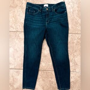 Lane Bryant Dark Blue Skinny Jeans